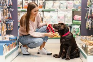 Cómo elegir una buena tienda para perros y gatos